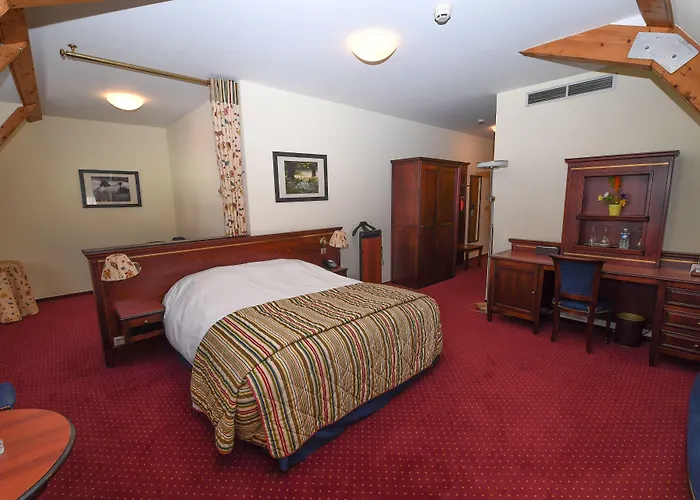 Hotel-restaurant Gulliver 3* バシャラージュ